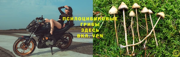 гашишное масло Баксан