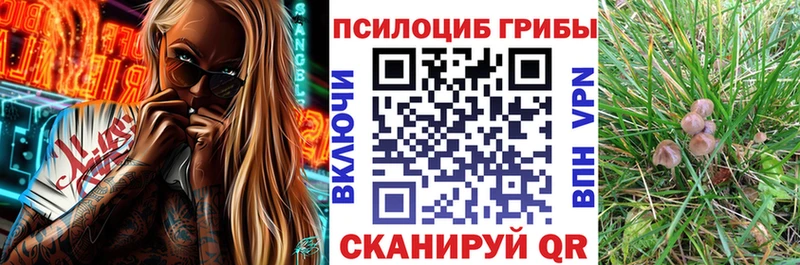 Галлюциногенные грибы Cubensis  купить наркотики сайты  omg как зайти  Балтийск 