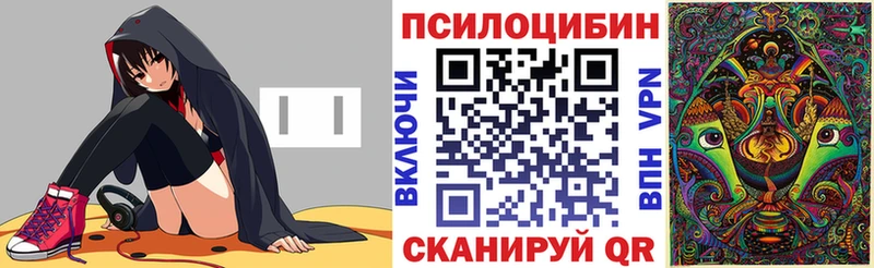 Псилоцибиновые грибы GOLDEN TEACHER Балтийск