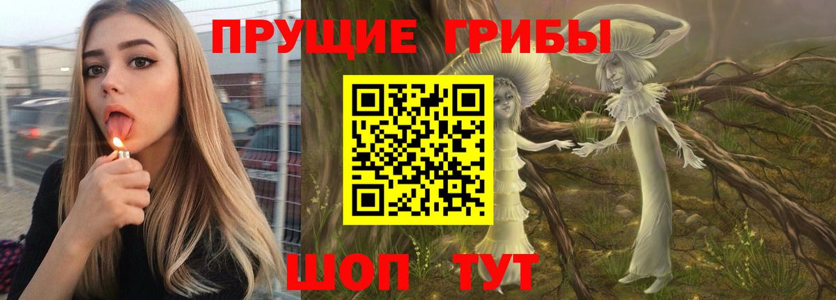 Галлюциногенные грибы Psilocybine cubensis  Псилоцибиновые грибы Psilocybe  Вход с VPN  Балтийск 