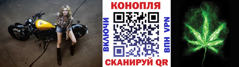 Канабис THC 21% купить сайты Балтийск